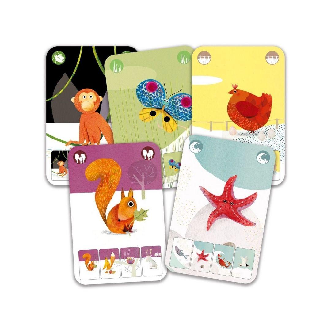 Djeco Cartas Mini Nature