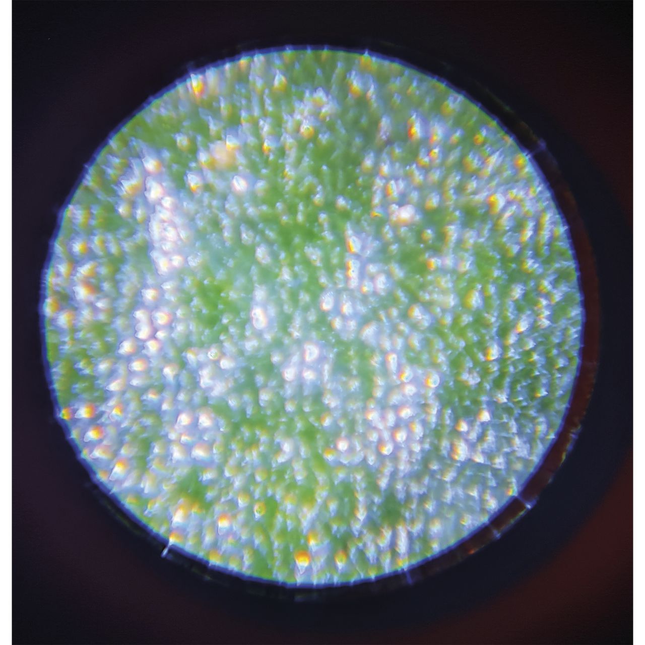 Janod Microscopio nómada portátil
