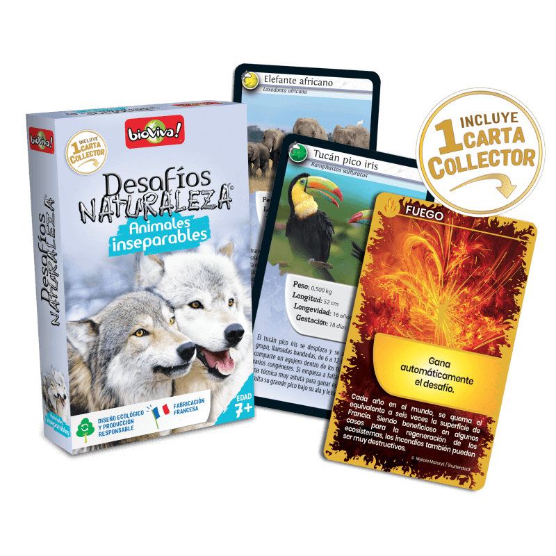 Bioviva Desafíos Naturaleza Animales Inseparables