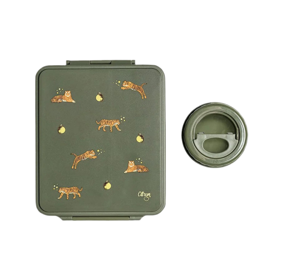 Citron Caja almuerzo grande con termo Tigre