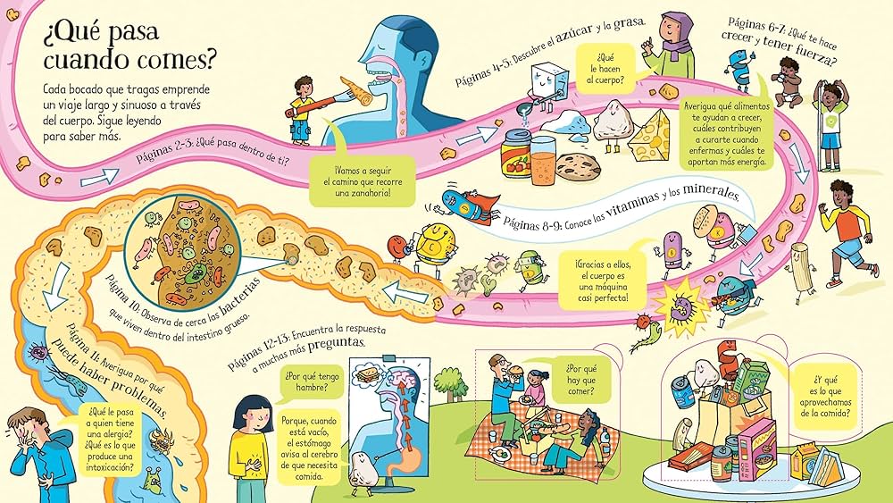 Mira debajo ¿Qué pasa cuando comes?