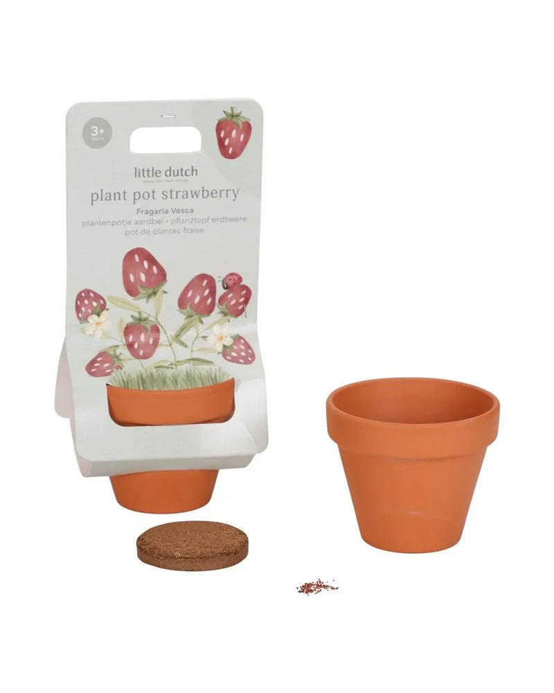 Little Dutch Maceta con semillas