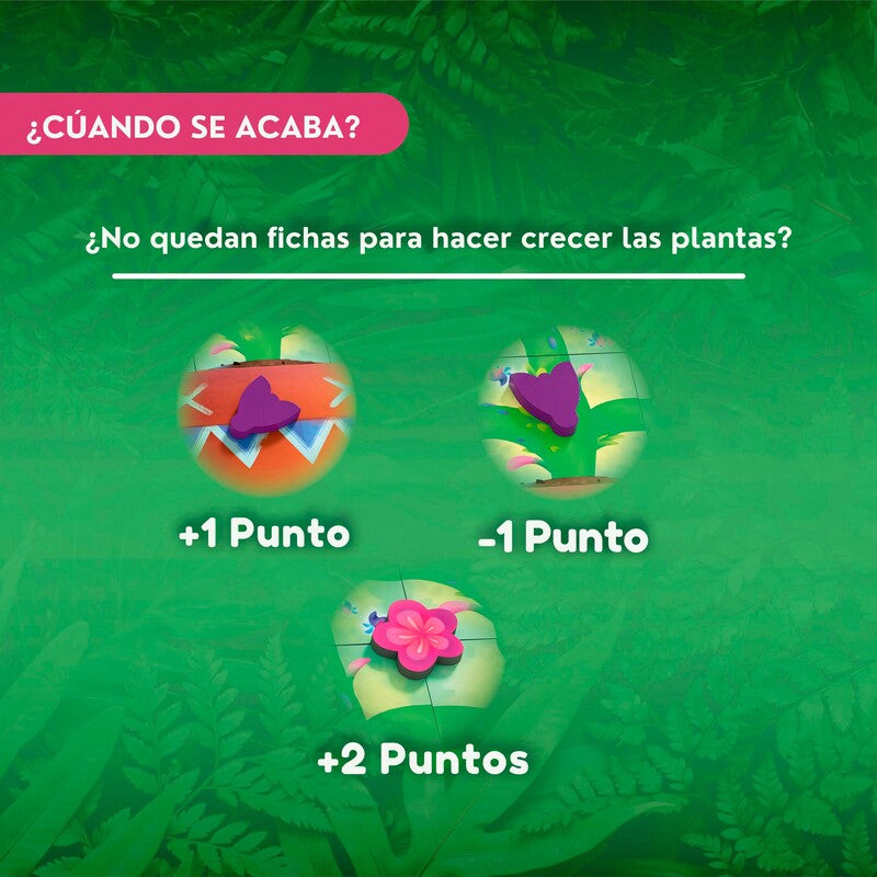 Haba Carni Flora