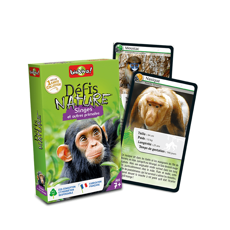 Bioviva Desafíos Naturaleza Primates