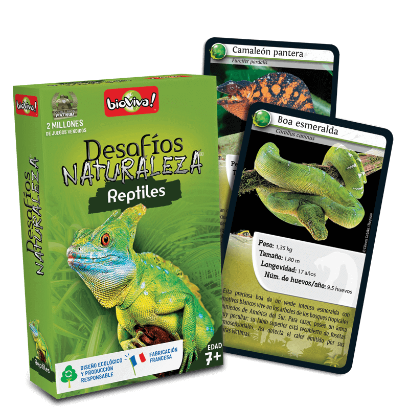 Bioviva Desafíos Naturaleza Reptiles