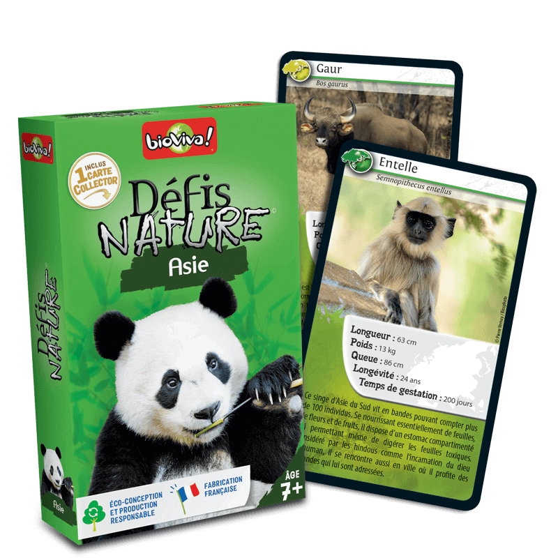 Bioviva Desafíos Naturaleza Asia