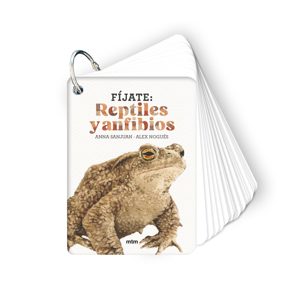Fíjate: Reptiles y anfibios
