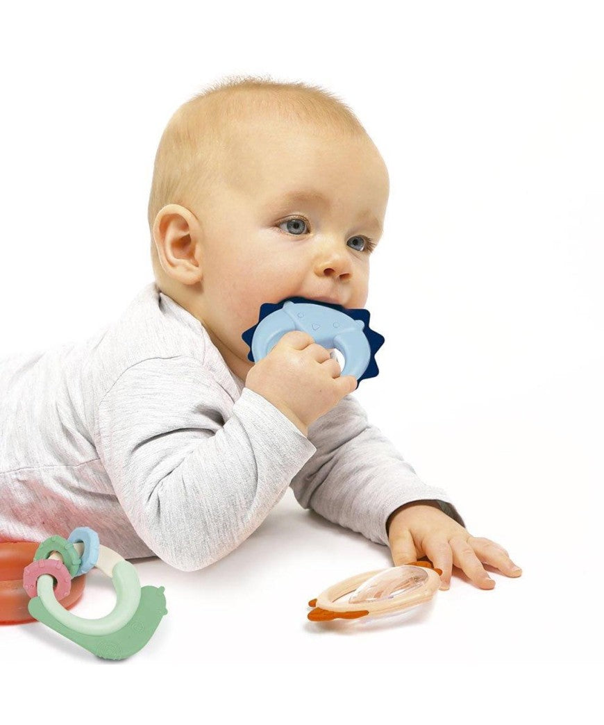 Ludi Trio de sonajeros