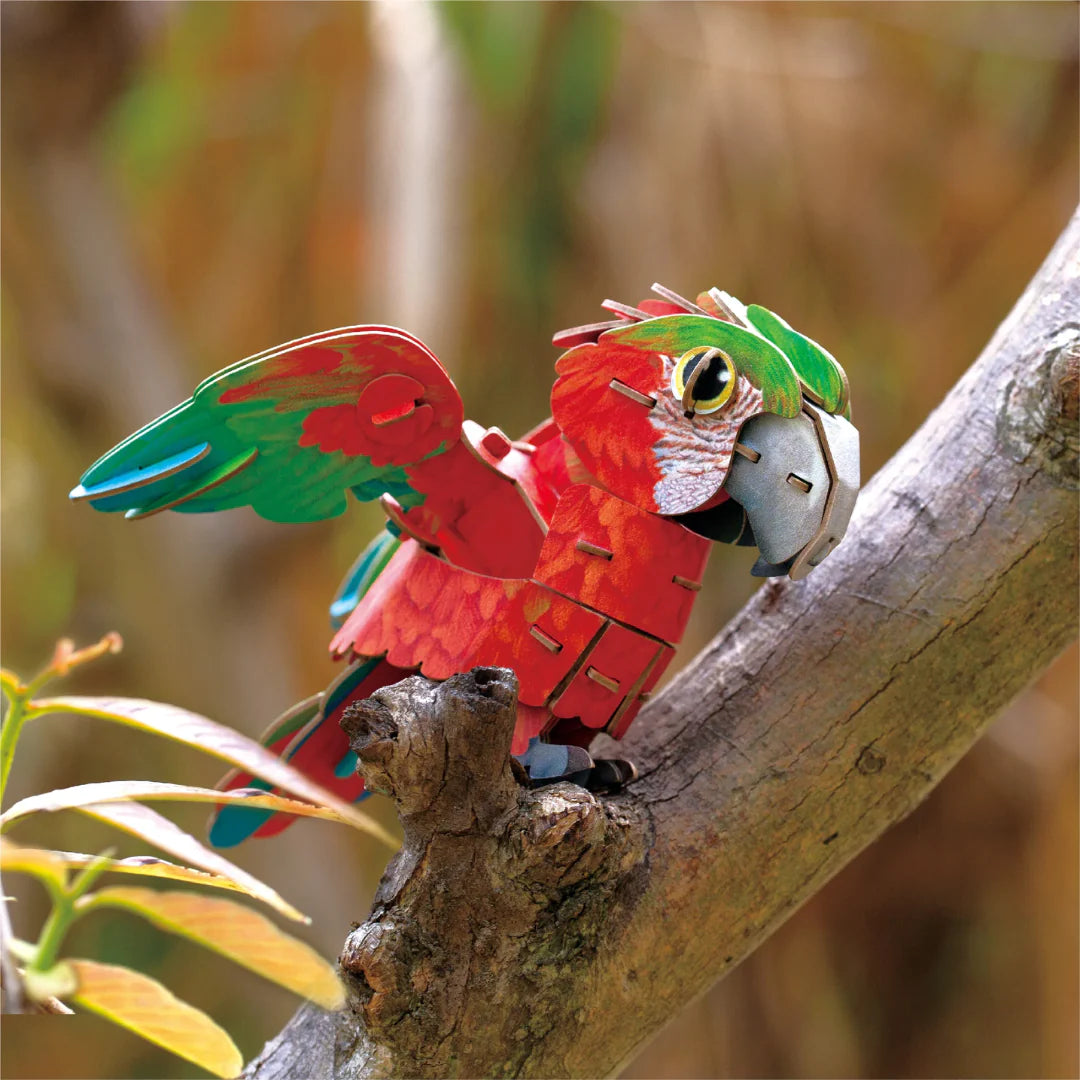 MierEdu Mini Puzzle 3D Loro