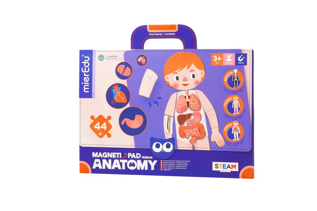 MierEdu Maletín magnético Anatomía