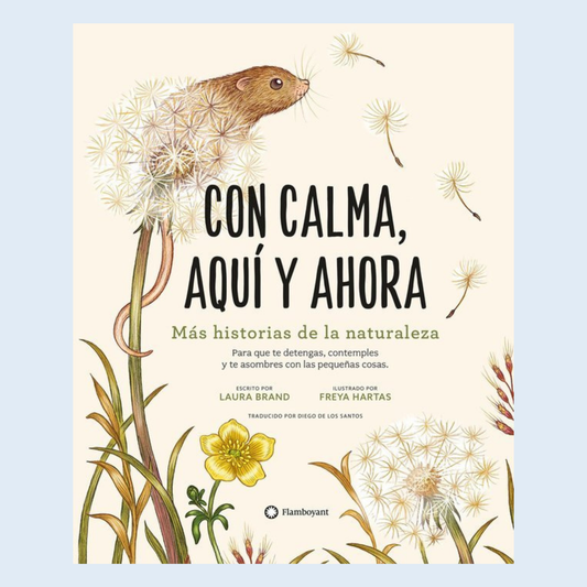 Con calma, aquí y ahora - Flamboyant.,