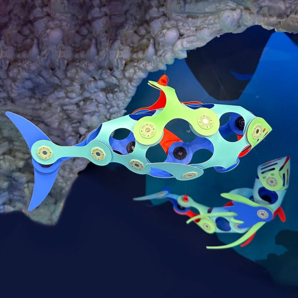 Clixo Ocean Creatures Pack 24 piezas