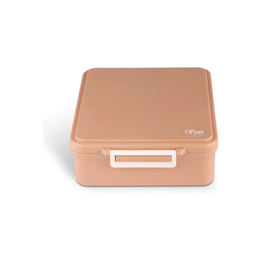 Citron Caja almuerzo grande con termo Rosa