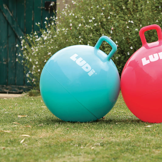 Ludi Pelota Saltarina XXL