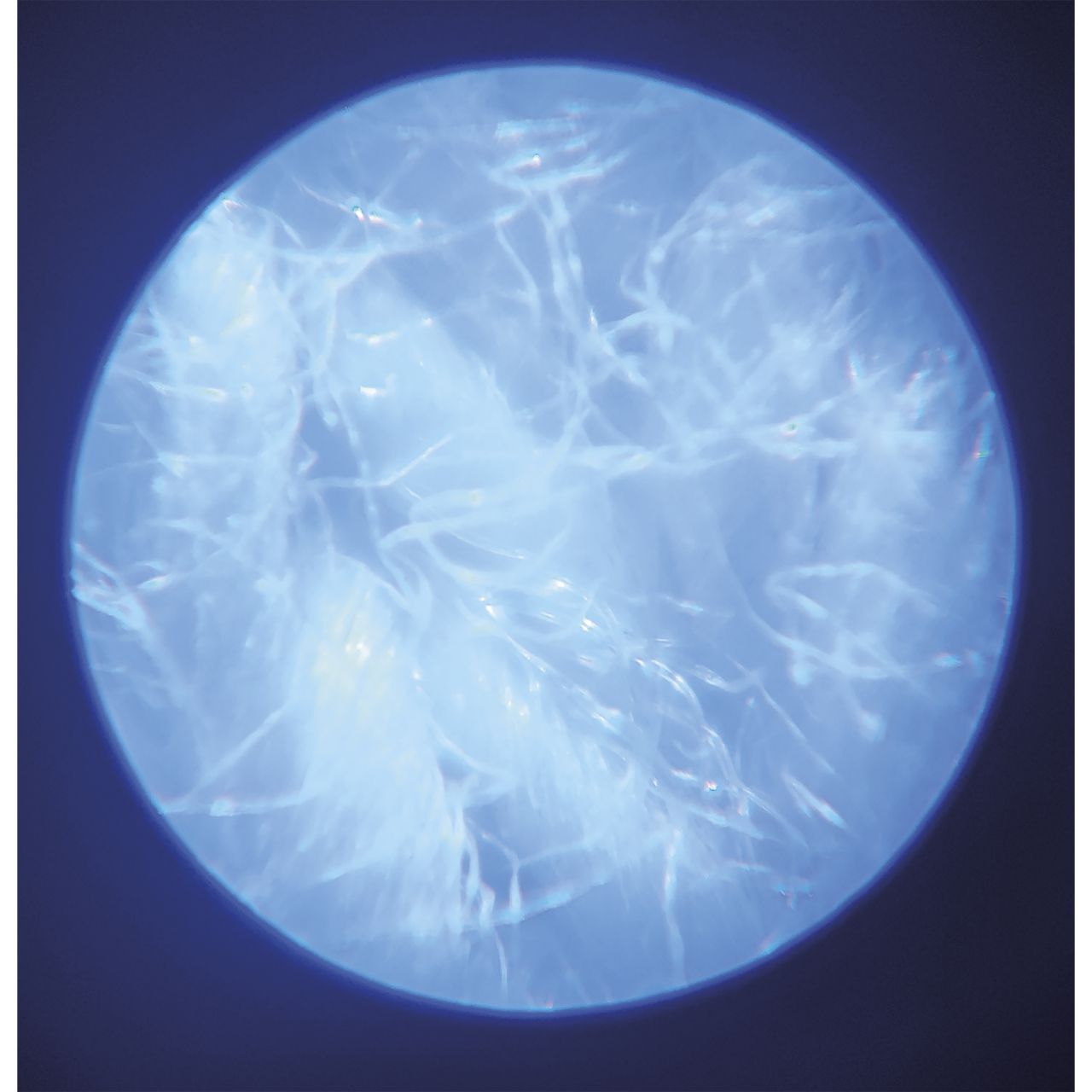 Janod Microscopio nómada portátil