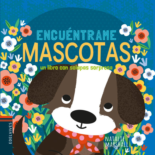 Encuéntrame mascotas