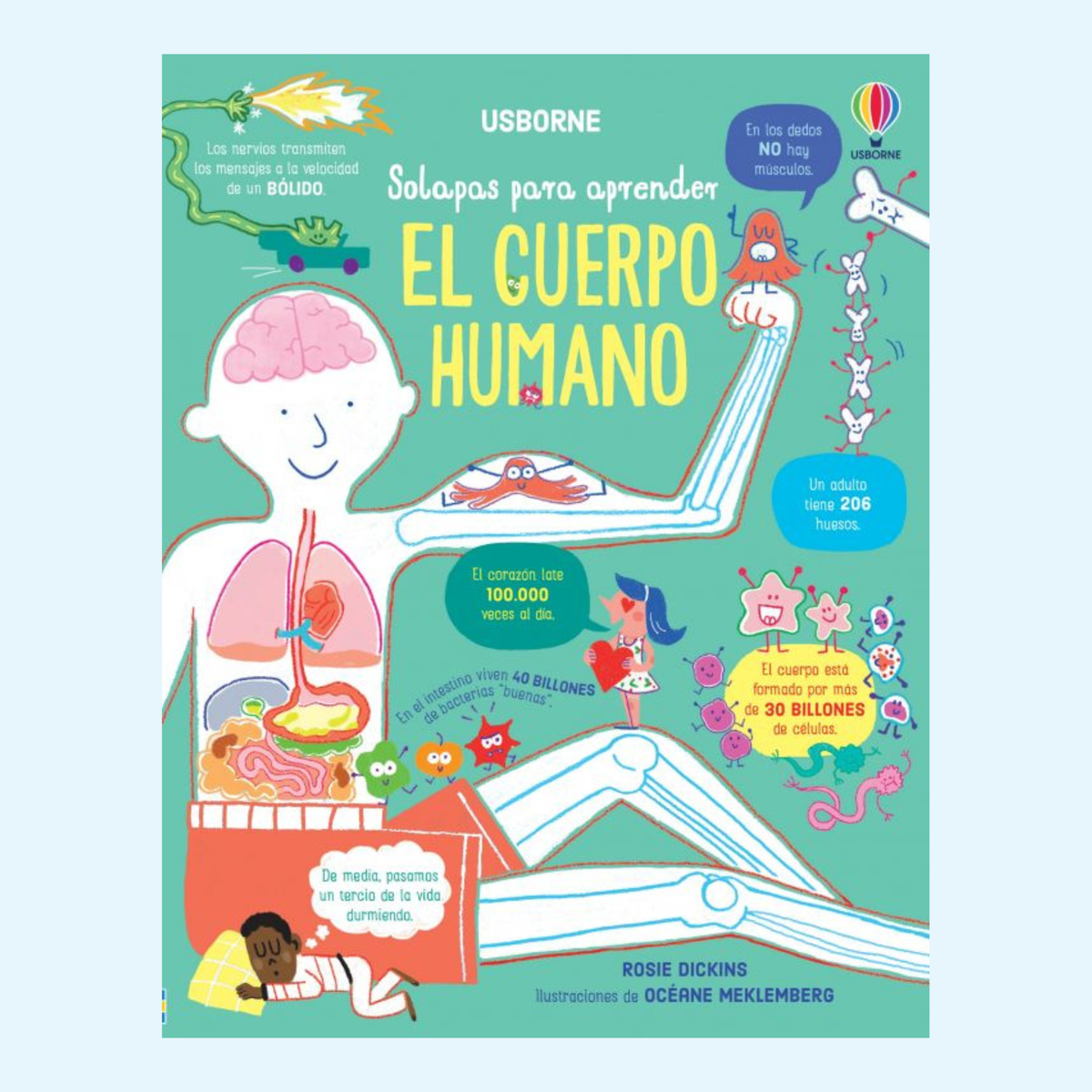 Solapas para aprender El cuerpo humano