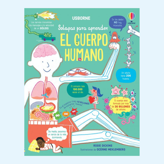 Solapas para aprender El cuerpo humano