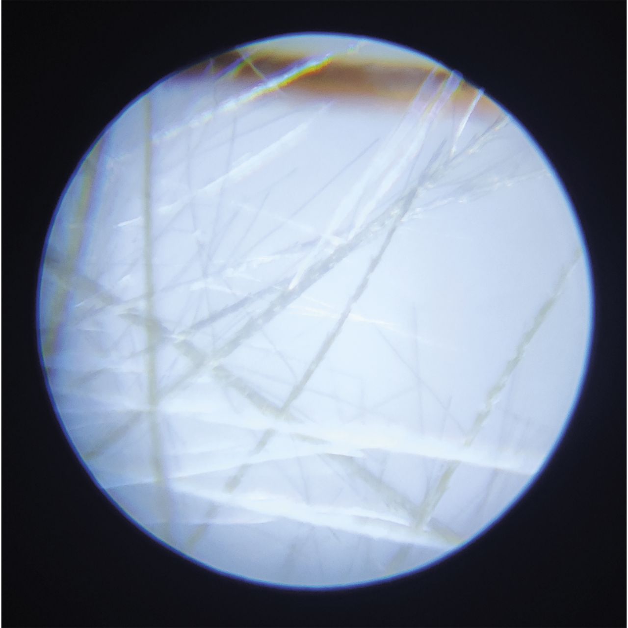 Janod Microscopio nómada portátil