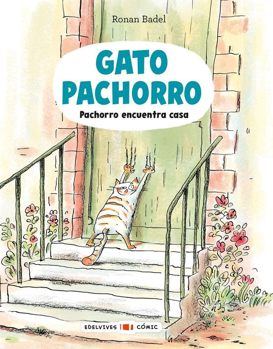 Gato Pachorro 1 Pachorro encuentra casa