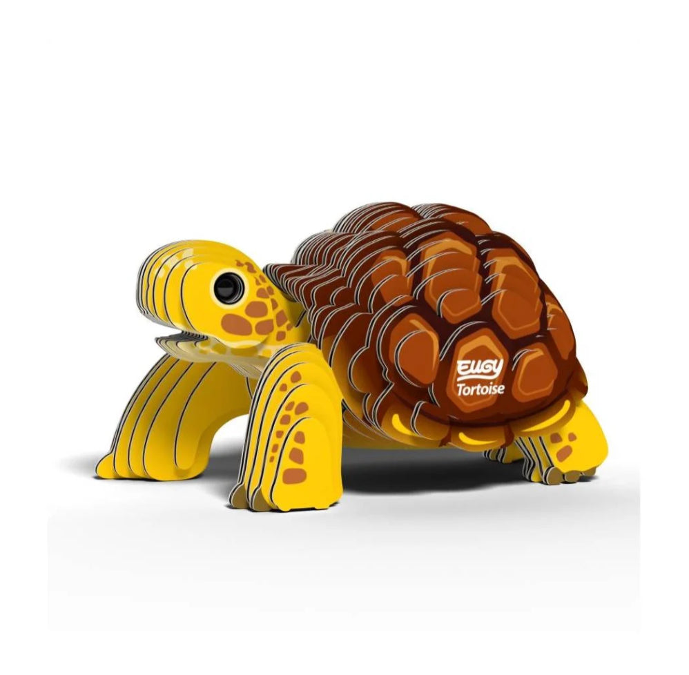 Eugy 104 Tortuga de tierra