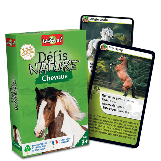 Bioviva Desafíos Naturaleza Caballos