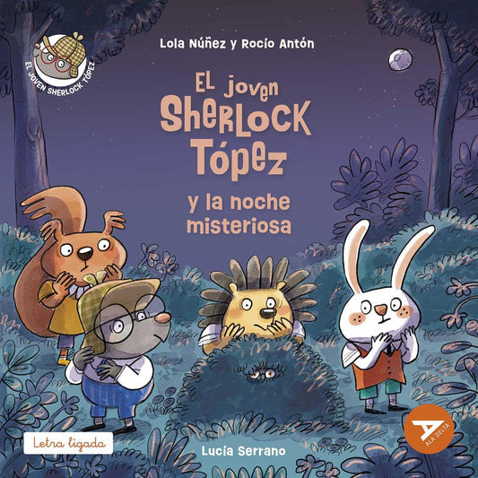 El joven Sherlock Topez y la noche misteriosa
