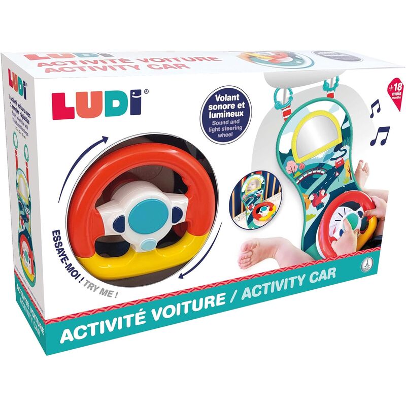 Ludi Volante de actividades
