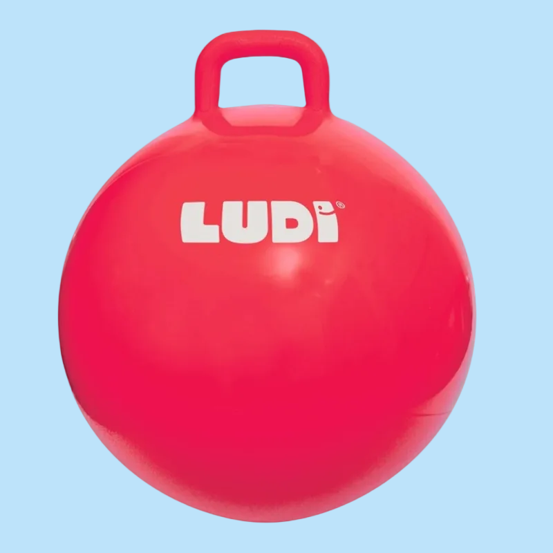 Ludi Pelota Saltarina XXL