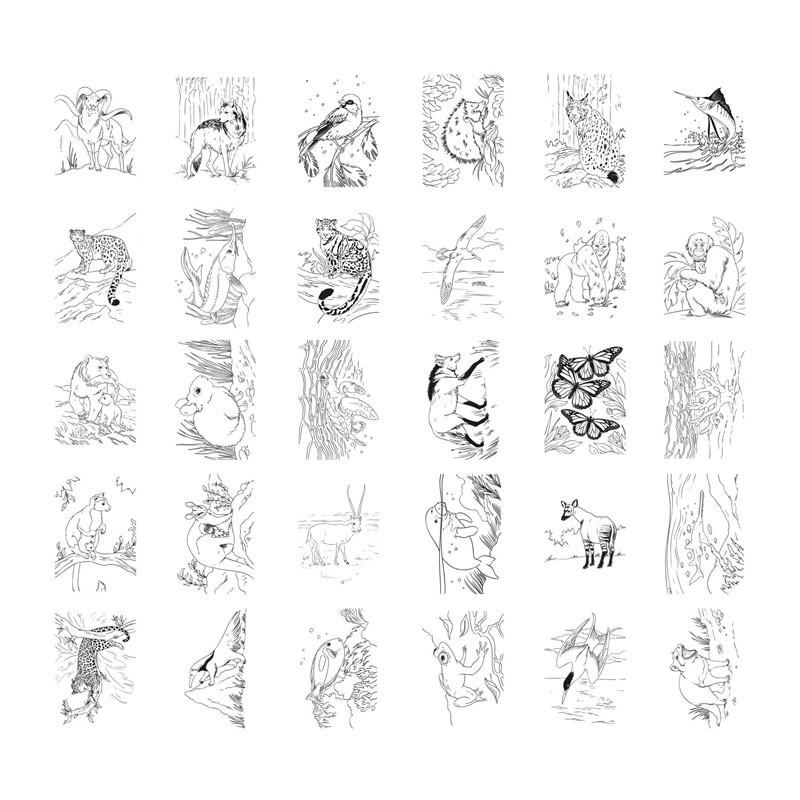 Kidydraw Pad Animales