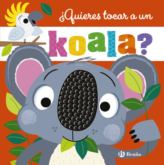 Quieres tocar un koala