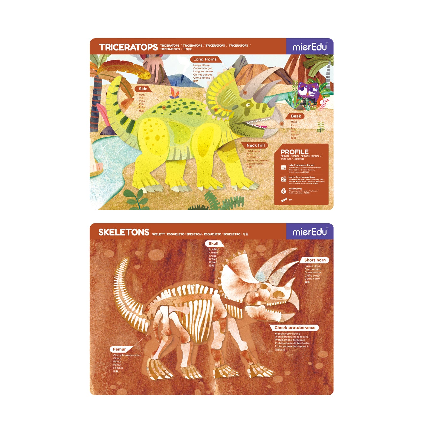 MierEdu Maletín magnético Triceratops
