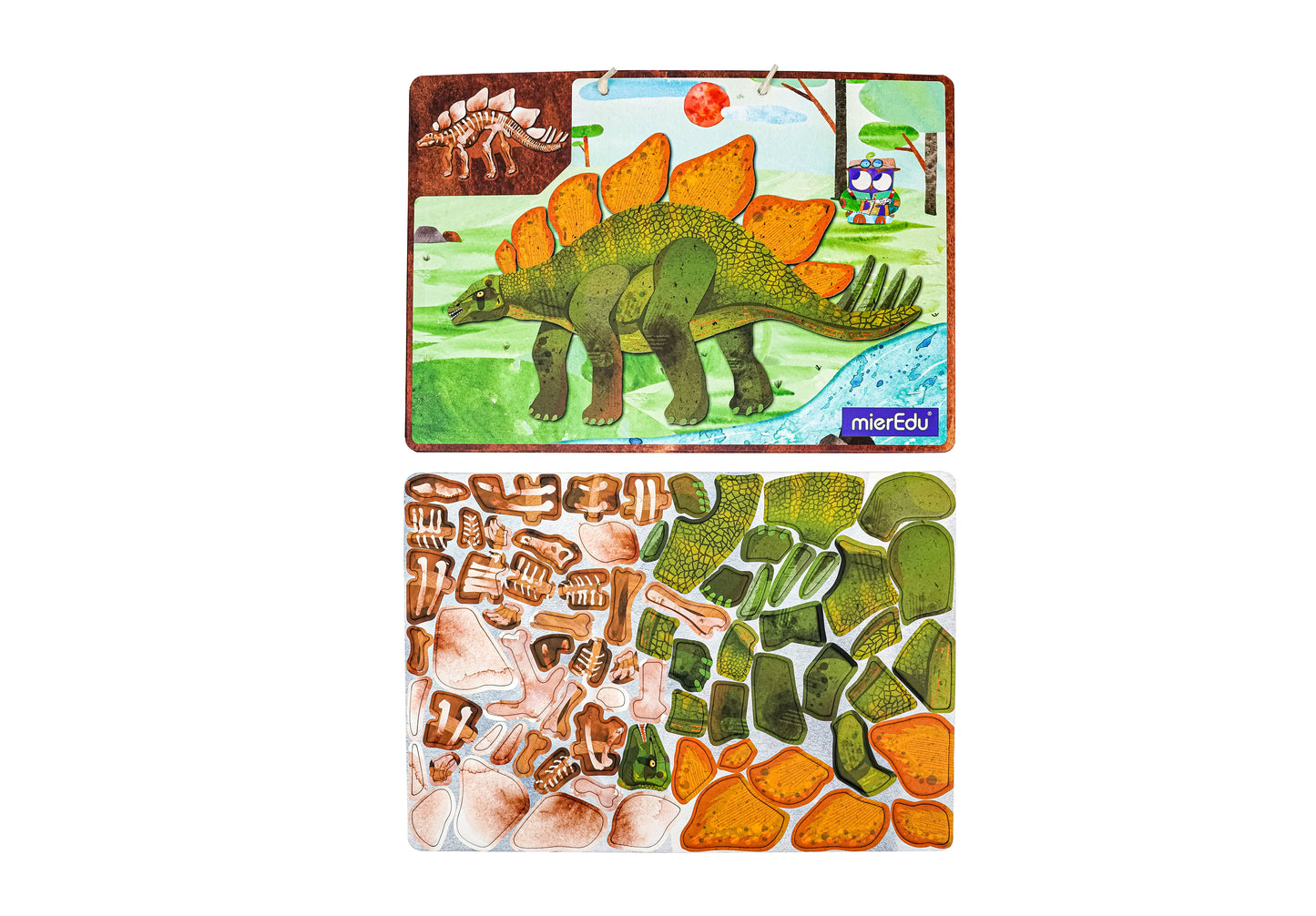 MierEdu Maletín magnético Estegosaurio