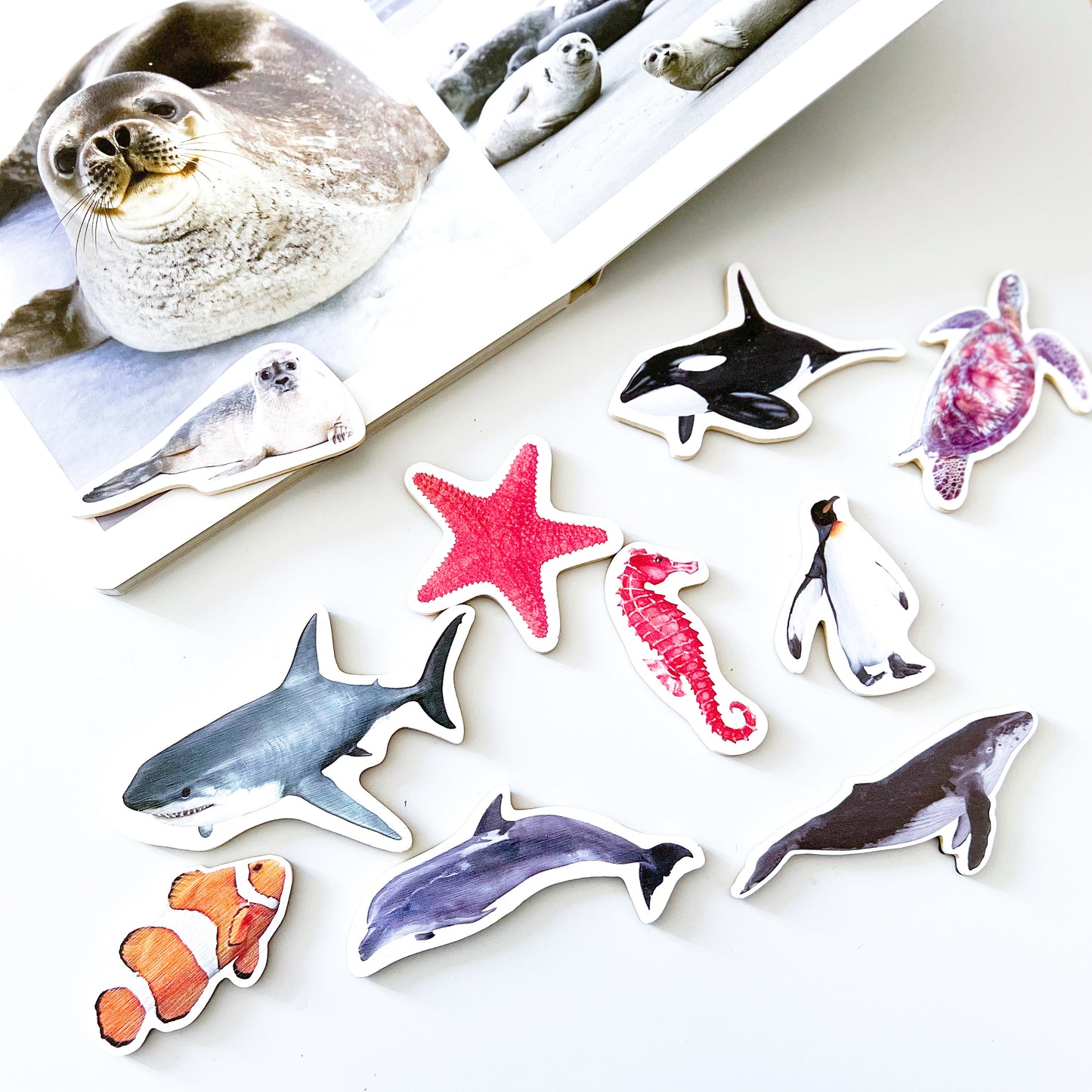 Piezas magnéticas animales marinos Nowordbooks