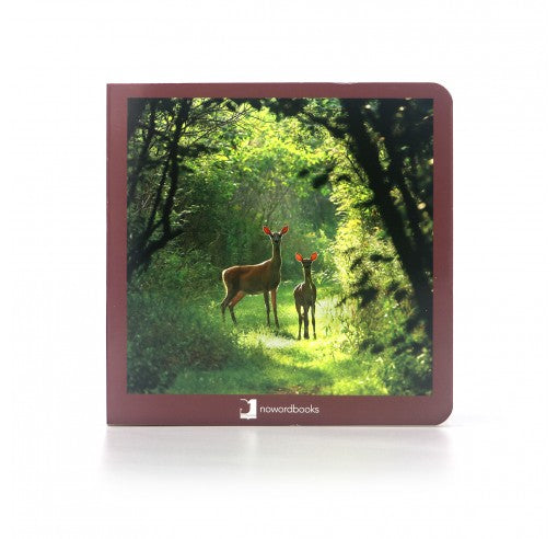 Nowordbooks 21 Animales del bosque