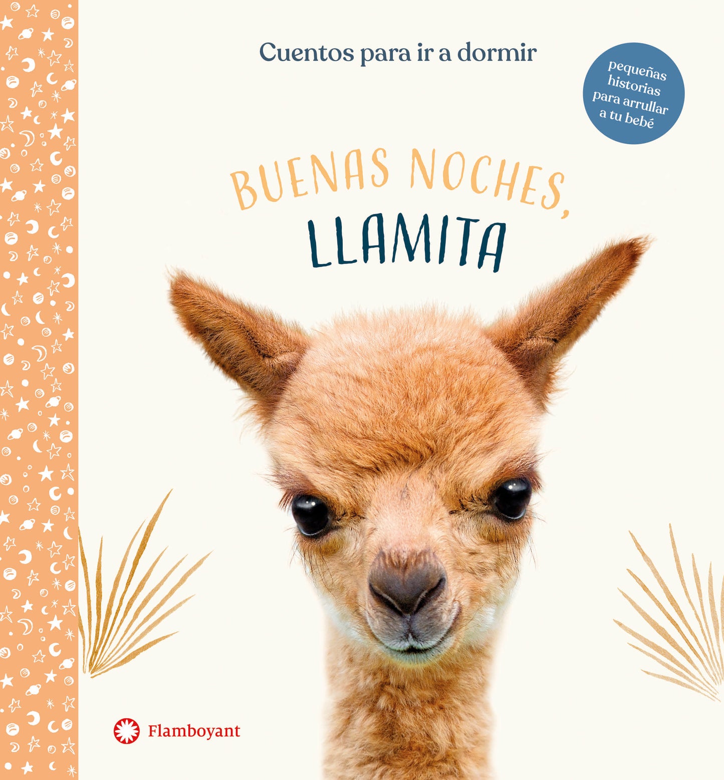 Buenas noches llamita